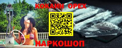 крисы Можга