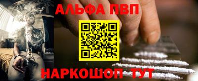 крисы Можга
