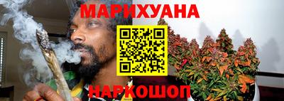 крисы Можга