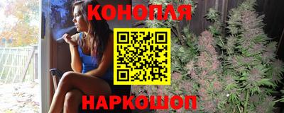 крисы Можга