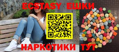 крисы Можга