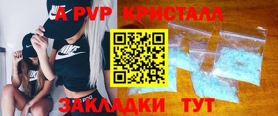 крисы Можга