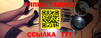 крисы Можга