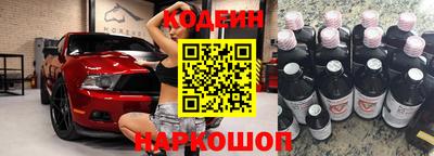 крисы Можга