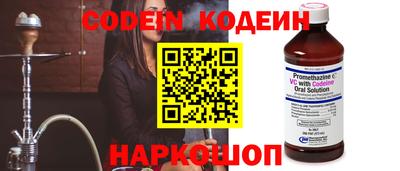 крисы Можга