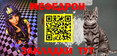 крисы Можга